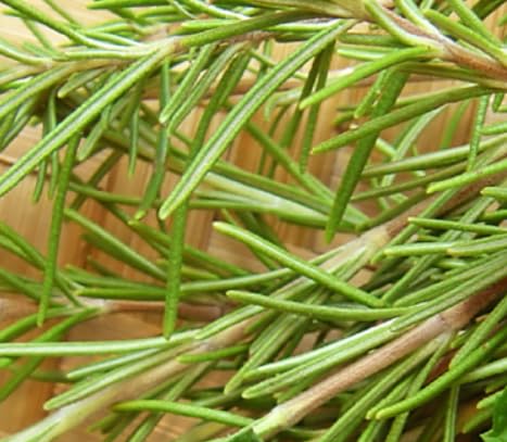 Rosemary And Mint Strengthening Hair Serum | For Dry hair & Scalp, Green - Image 6