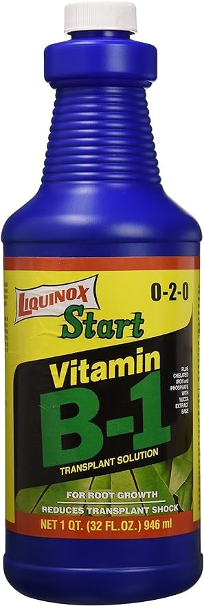Miniatura 2 de Liquinox Start Vitamina B-1 1QT (32FL oz)
