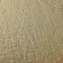 Walts Dolomite Lime Powder 2 LB