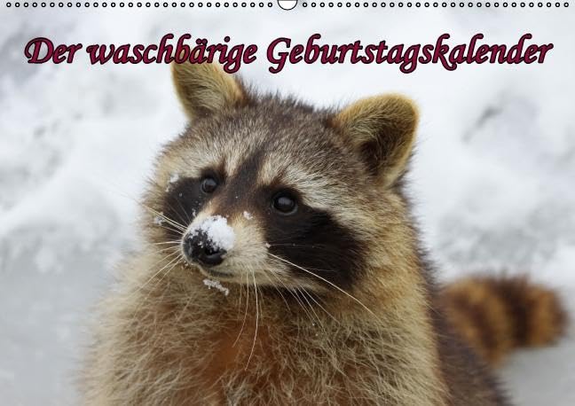 Waschbären / Geburtstagskalender (Wandkalender immerwährend DIN A2 quer): Der waschbärige immerwährende Geburtstagskalender (Monatskalender, 14 ... + Martina Berg, Pferdografen.de