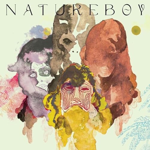 Pochette de Natureboy (10th Anniversary Edition)