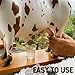 Nelore Bull Liquor Dispensers Imagen de Nelore Bull Liquor Dispensers
