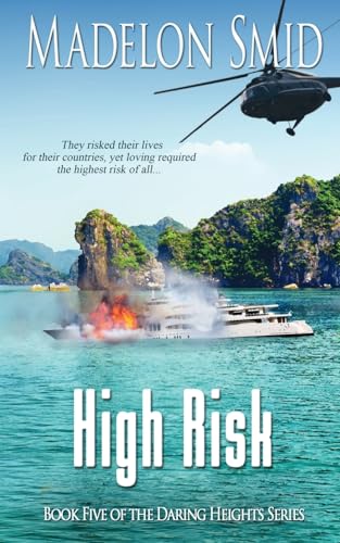High Risk view 2