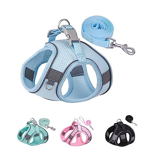 Solmoony Dog Harness for Small Medium Dogs No Pull, Puppy Harness and Leash Set, Puppy Harness for Small Dogs, Step in Harness for Small Dogs, Small Dog Harness, mesh Dog Harness. (Bule, M)