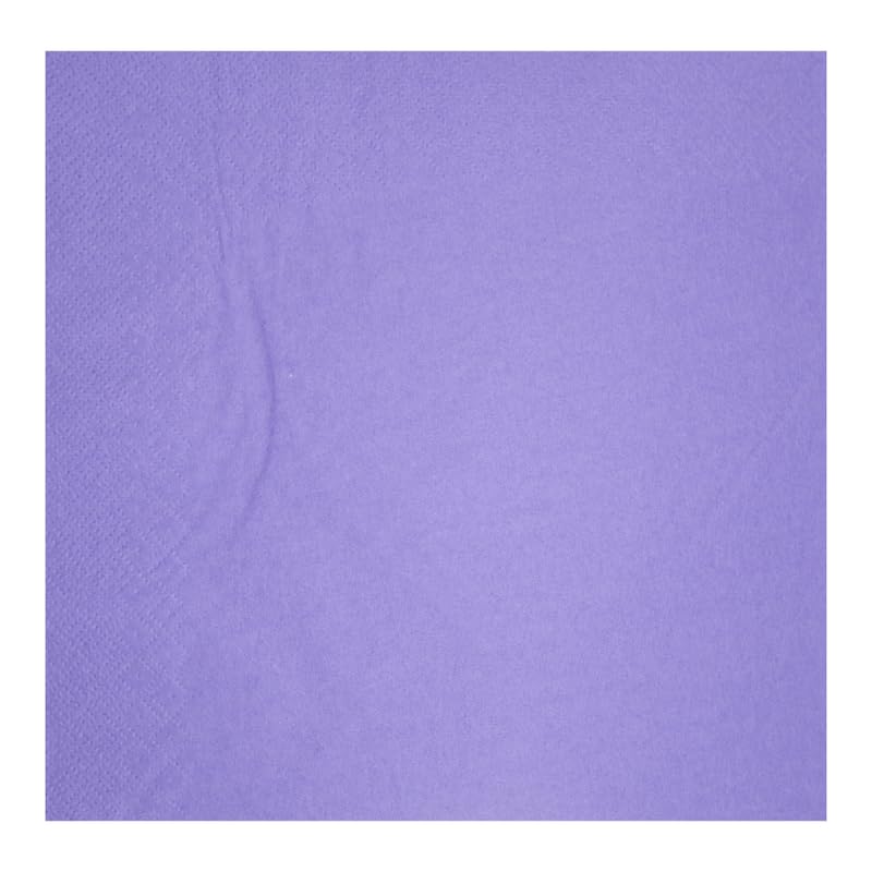 Caterello Lot de 100 serviettes en papier solide double épaisseur - 33 x 33 cm - Serviettes de table colorées - Serviettes en papier pour fêtes et...