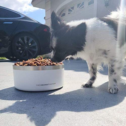 Coldest Dog Bowl - Stainless Steel Non Slip No Spill Proof Skid Metal Insulated Dog Bowls, Cats, Pet Food Water Dish… - Image 5