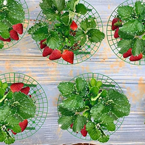 Set de herramientas para jardinería con enrejado para plantas miniatura 7