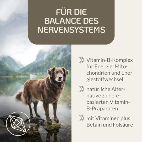 Provicell Vitamin B Komplex für Hunde mit B12 & Omega 3 – Vitamin B Tabletten für Hunde – 120 Tabletten – Ergänzung für Energie & aktive Phasen – Mit Tierärzten in Deutschland entwickelt