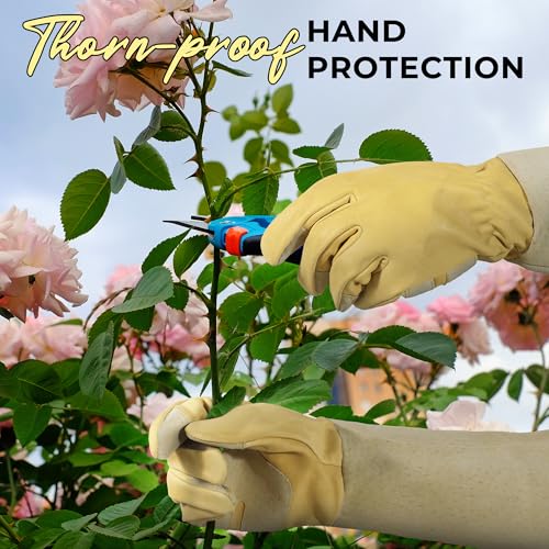 Image of HANDLANDY Rose Pruning Gardening Gloves for Men Women, Thorn Proof Forearm Protection Leather Garden Gloves, Gardening Gifts for Gardeners (Vanilla, Large)