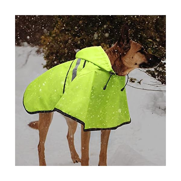 Candofly Dog Raincoat Hooded Poncho – Adjustable Waterproof Dog Rain Jacket Lightweight Reflective Dog Rain Coat Pet Slicker for Small Medium Large Dogs (Large, Green) Candofly Dog Raincoat Hooded Poncho – Adjustable Waterproof Dog Rain Jacket Lightweight Reflective Dog Rain Coat Pet Slicker for Small Medium Large Dogs (Large, Green)