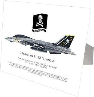 Future of Flight Jolly Rogers Fighting 84 White Aluminum Print