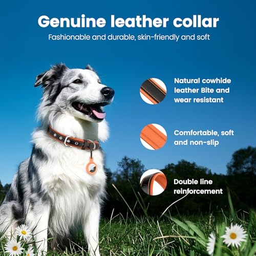 Leather Dog Collar with AirTag Holder-Compatible with Airtag, Adjustable & Personalised for Small Medium, Large Dogs - Image 3