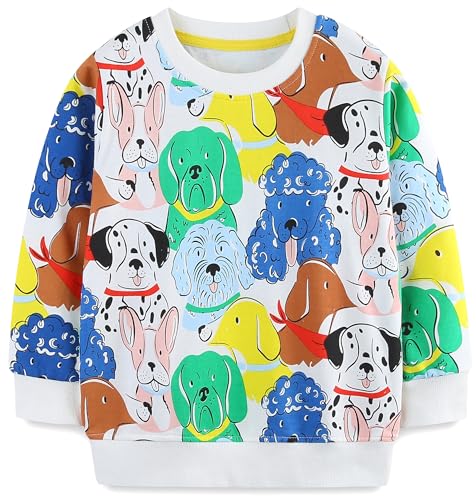 Image of Akyzic Toddler Boys Sweatshirts Cotton Crewneck Truck Shirt Dinosaur Long Sleeve Pullover Tops Tees 2-8T