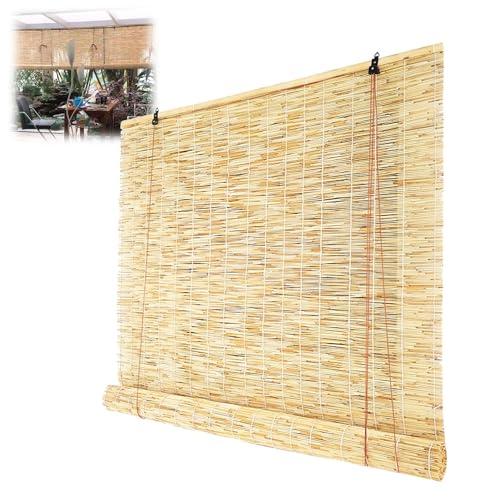 uChO VÂ 74 88 96 176cm 70 90 110 112 145 150 157 180 220cm |  ډB Ղ ̉x㏸} (F : B, TCY : 74x90cm)