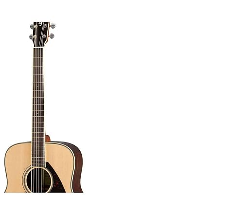Amazon.com: Yamaha FG830 Solid Top Folk Guitar, Natural : Musical