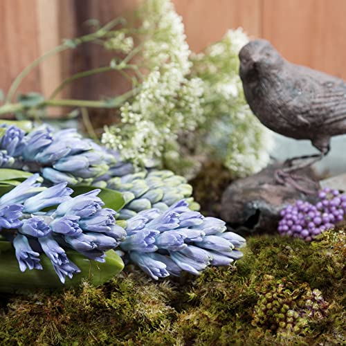 42.33 Oz Fake Sheet Moss For Potted Plants, Artificial Natural Moss For Fake Plants Indoor, Faux Dried Moss For Terrariums Arts Diy Crafts Indoor Home Office Decor, Forest Moss For Hamsters #TOP5