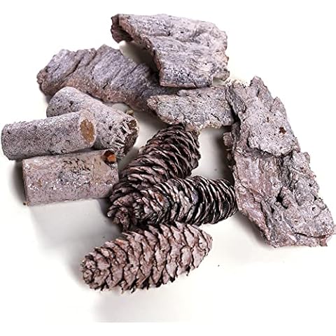 BYHER Natural Pine Cones, Christmas Pinecones for Crafts, Fall Wedding Decorations Halloween Thanksgiving Decor Ornaments (White) Cover