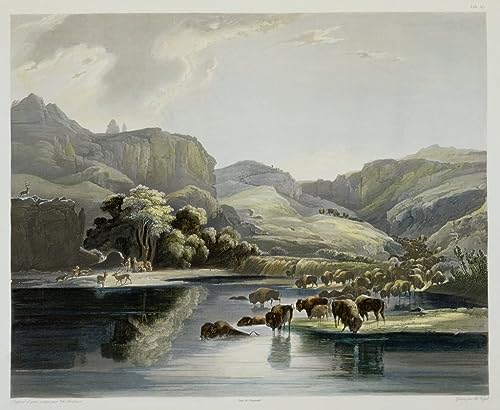 Tableau Troupeaux de bisons Karl Bodmer pour habiller un grand mur vide de chambre 60x90