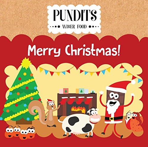 Pundits Christmas Advent Calendar - No Added Sugar - with Natural Stevia Sweetener by Pundits | Healthy, Irresistibly Tasty Chocolate | Suitable for Diabetics | Low Carb, Gluten & No Added Sugar