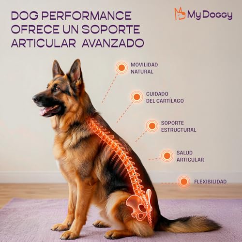 Catálogo de Doggy los más solicitados. 3 Imagen adicional