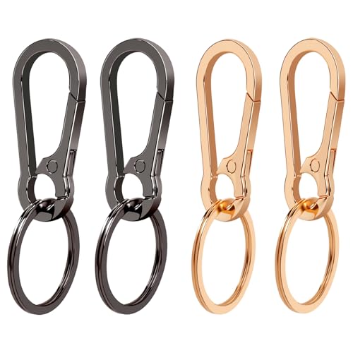PIGORY Metal Carabiner Keychain Clip Key Ring Holder for Car Keys