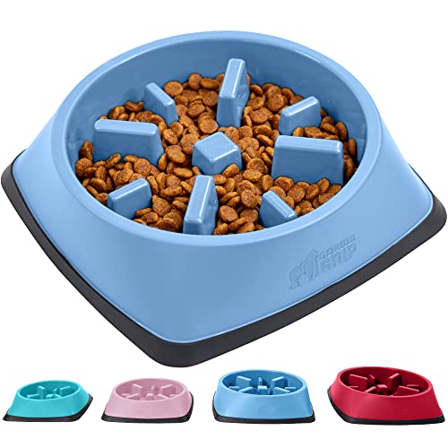 Top 10 Best Puzzle Dog Bowl Top Picks 2023 Reviews