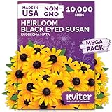 KVITER 10,000 Black Eyed Susan Seeds for Planting (Rudbeckia hirta) – Gloriosa Daisy Wildflower Seed, Heirloom, Non-GMO & Organic – Flower Seeds to Plant Outside & Inside, Borders, Containers