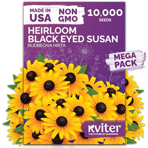 Best Black Eyed Susan Bush Seed Selections for Vibrant Summer Color ...