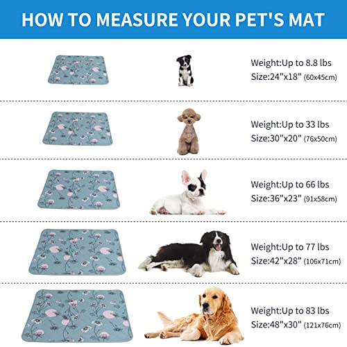 IEUUMLER 2 Stück Welpenunterlagen Waschbar für Hunde, Wiederverwendbar und Schnell Absorbierend PIPI Matten Trainingseinlagen für Laufstall/Autositz/Sofa FC013 (60*45cm-2pcs, Grüne Gänseblümchen)