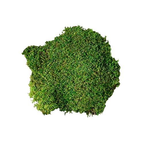 Galápagos (05350) Humid Environment Terrarium Kit – Essential Moss Accessories for Dart Frogs, Iguanas, Chameleons & Reptile Tanks - Thumbnail 6