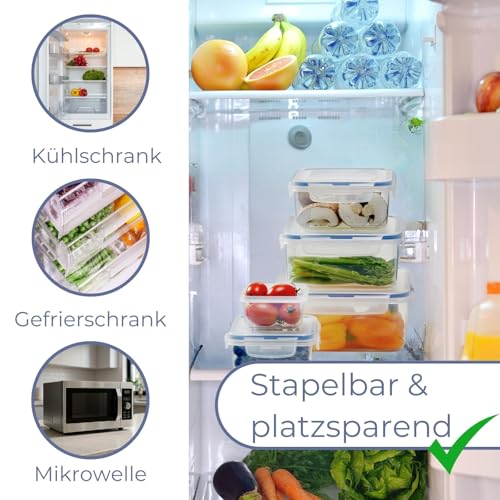 LocknLock PP Classic Vorratsdose mit Ablaufgitter | 2 L | 27,8 x 11,5 x 10,3 cm | 100 % luft- und wasserdicht | Gefrier-& Kühlschrank Organizer | Spülmaschinen-& Mikrowellengeeignet | BPA frei
