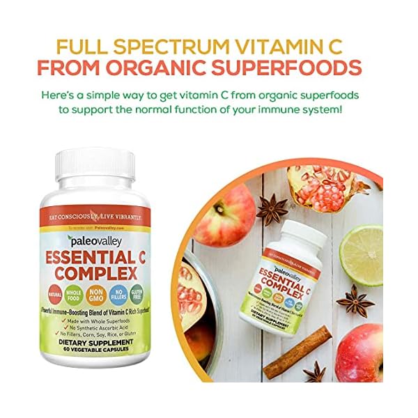 Paleovalley-Essential-C-Complex-Vitamin-C-Food-Supplement-with-Organic-Superfoods-for-Immune-Support-6-Pack-450-mg-per-Serving-No-Synthetic-Ascorbic-Acid-No-GMO-Fillers-or-Gluten Paleovalley Essential C Complex - Vitamin C Supplement for Immune Support - 6 Pack, 450mg - From Organic Superfoods Unripe Acerola Cherry, Camu Camu, Amla Berry - No Synthetic Ascorbic Acid - USA Made