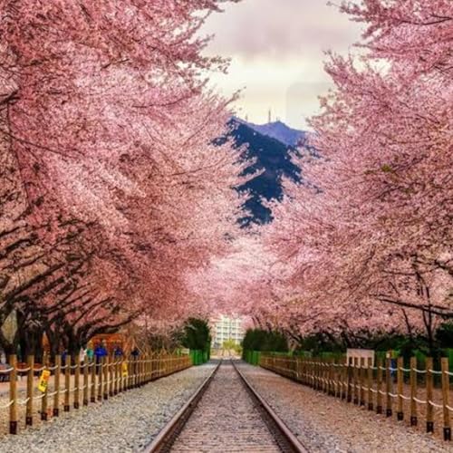 Fanfare sumika tamil x japanese version song . Pakka experiment done by GRD😅. Use 🎧 for safety.