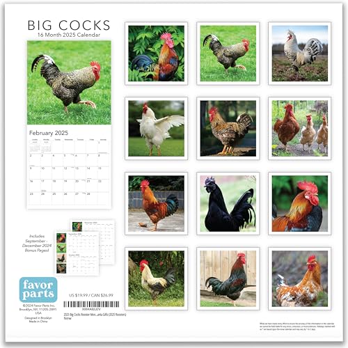 2025bigcocksroostermonthlywallcalendarfunfunnyphotojokegiftroostersphotoslargedirtyprankfarmfarmhousebirthdayvalentinegiftschicken2025roosters Urban Country Home Decor 2025 big cocks rooster monthly wall calendar fun funny photo joke gift roosters photos large dirty prank farm farmhouse birthday valentine gifts chicken 2025 roosters urban country home decor
