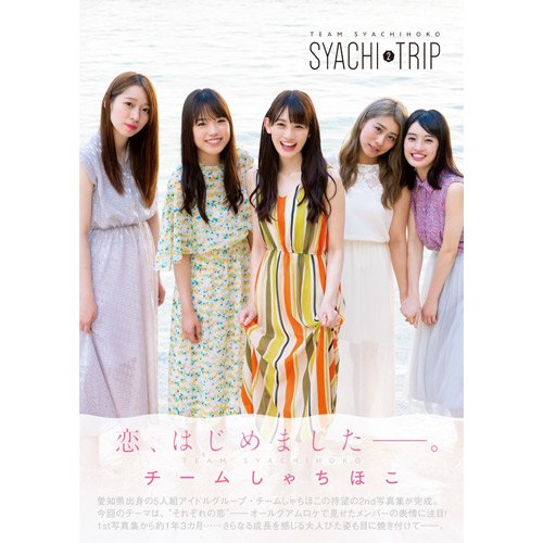 チームしゃちほこ