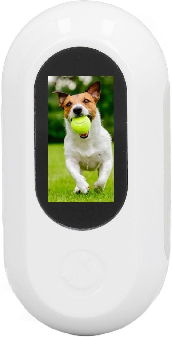 1080p Cat Camera with 120° Lens, Adjustable Magnetic Pet Collar Cam for Outdoor Use, OTG Connection, Perfect for Pet Sports Recording White