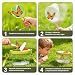 Imagen de Dreamon 17PCS Carretilla Niño Set Jardinería y Exploración