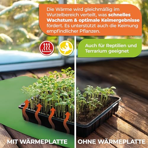 Bio Green Anzuchtbooster Heizmatte für Pflanzen | 25 x 35 cm | 15 Watt | wasserdichte Wärmeplatte | Turbo für Ihre Samen | für Keimung & Stecklinge