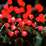 Fit & Forget Battery 100 LED Berry Lights : Timer Multifunction : Indoor/Outdoor : Red 6816019GR