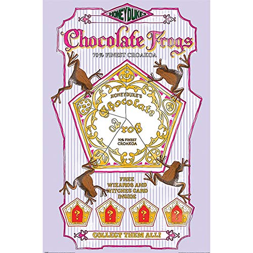 Poster Harry Potter Chocolate Frogs 61x91,5cm pour mur vide sans vie
