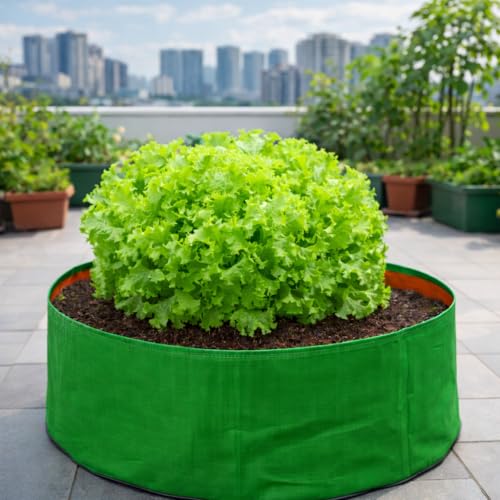 Image of MASHKI HDPE Grow Bags for Home, Terrace & Balcony Gardening - Big Size Vegetable Plant Grow Bags (15x15, 18 inchx18 inch & 24 inchx24 inch - Heavy Duty, UV Stabilized) (1, 24x12 Inches)