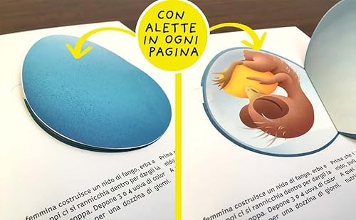 Dentro Le Uova. Ediz. A Colori - 4