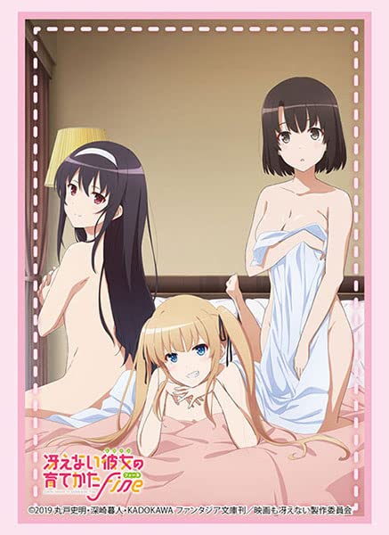Protège-cartes How to Raise a Boring Girlfriend Part 3 Bushiroad pour vos soirées jeux