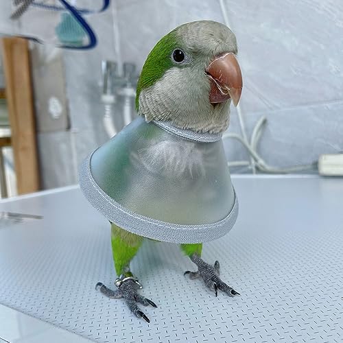 Image of Adjustable Parrot Cone Collar, Safe and Practical Cotton Collar to Prevent Bites and Licking Wounds, to Help heal (M)
