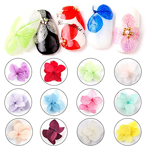 3 Doos Nagel Gedroogde Bloem,Real Natural Dried Flowers,Gedroogde Bloem Nagelkunst,Mini Nagel Gedroogde Bloemen Voor… - Afbeelding 4
