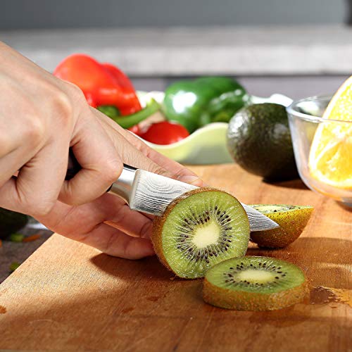 PAUDIN Paring Knife and Chef Knife - image 8