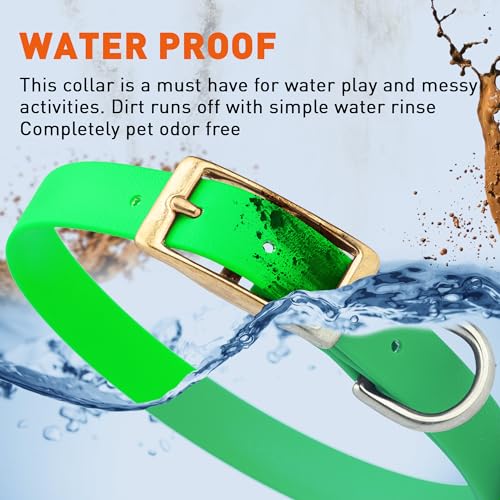 Image of Viper Biothane Heavy Duty Waterproof Dog Collar Strong Coated Nylon Webbing w /Solid Brass Hardware Odor-Proof Easy to Clean High Performance Fits Small Medium or Large Dogs, Tropical Green