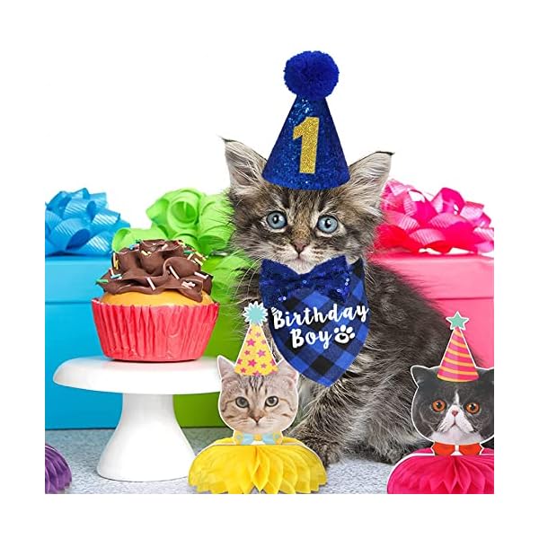 Jotfa cat birthday party supplies, plaid cat kitten birthday boy bandanas with cat birthday hat cat bow tie birthday number for cat kitten birthday decorations - image 8