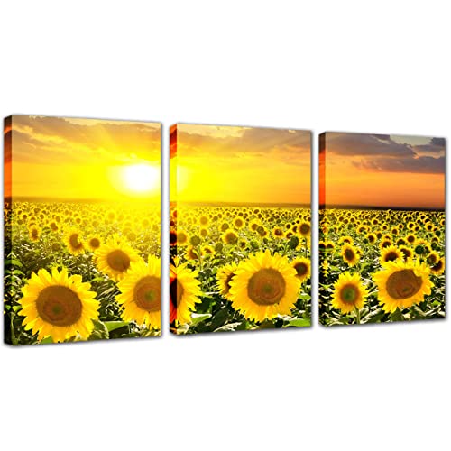 Toile tournesol lot de 3 cadres déco moderne pour un salon lumineux 30x40cm