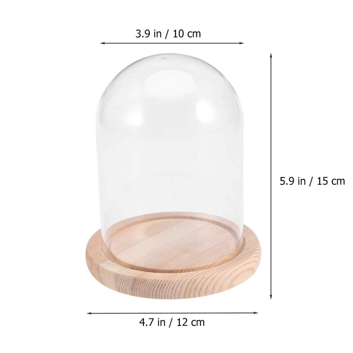 BESPORTBLE Display Cloche Dome Glass Dome Cloche with Wooden Base Antique Bell Jar Display Dome for Plants Succulents Fairy Lights Photos Medals Decorative Fill Transparent Glass Cover